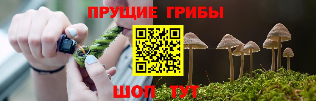 Галлюциногенные грибы Magic Shrooms  Вход с VPN  Качканар 